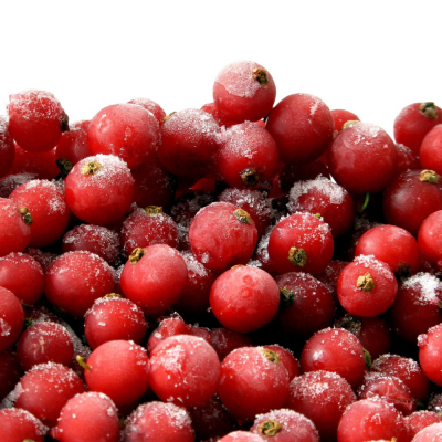 TK Johannisbeeren rot (1x10kg)