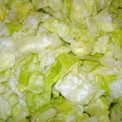 Eissalat Rauten 20x20 @