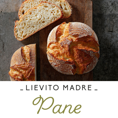 Ireks Lievito Madre Pane@