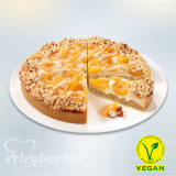 Erl Aprikosen-Kuchen vegan