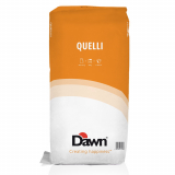 Dawn Quelli #3646 @