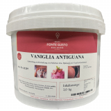 FG Vaniglia Antigua Paste