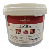 FG Gianduia Paste