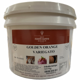 FG Variegato Golden Orange